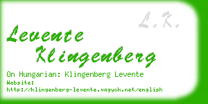 levente klingenberg business card